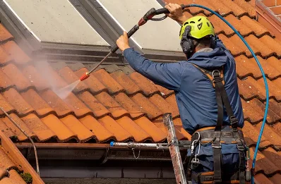 Démoussage et hydrofuge de toiture à Domfront